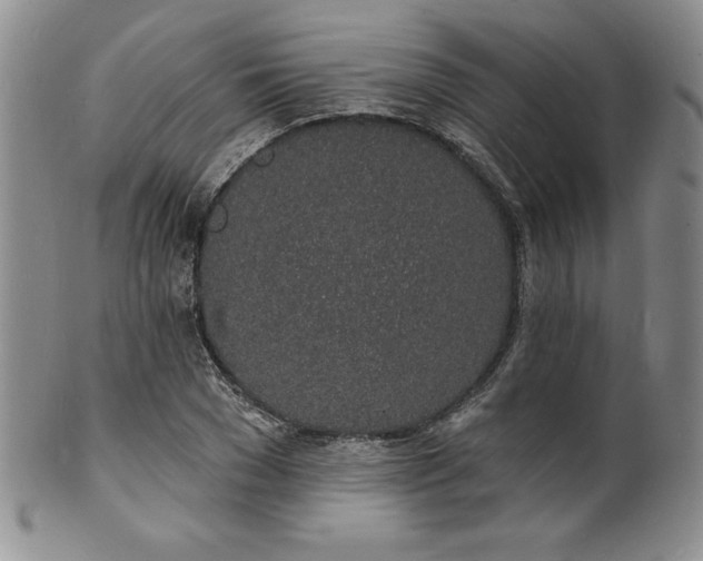 X0000101690977200807171431