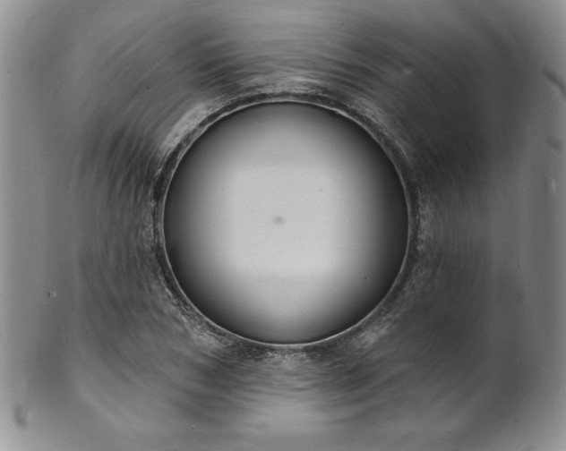 X0000101690978200807171431