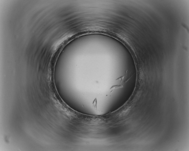 X0000101690979200807171431