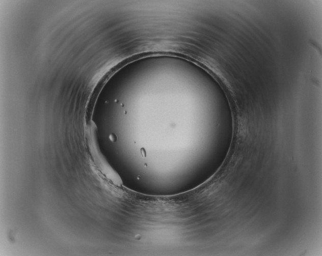 X0000101690980200807171431