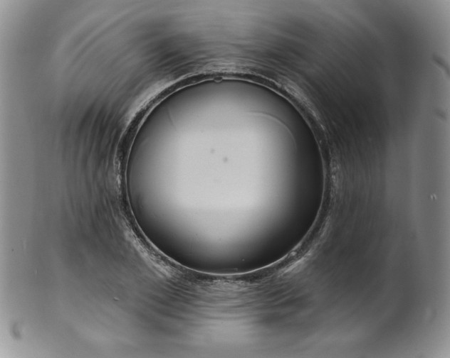 X0000101690981200807171431