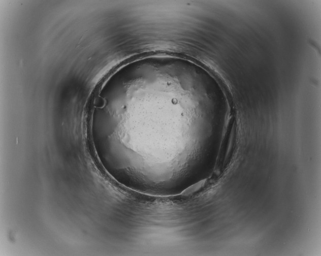 X0000101690983200807171431