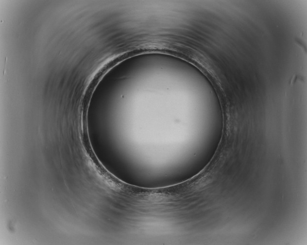 X0000101690984200807171431