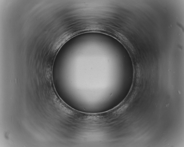 X0000101690985200807171431