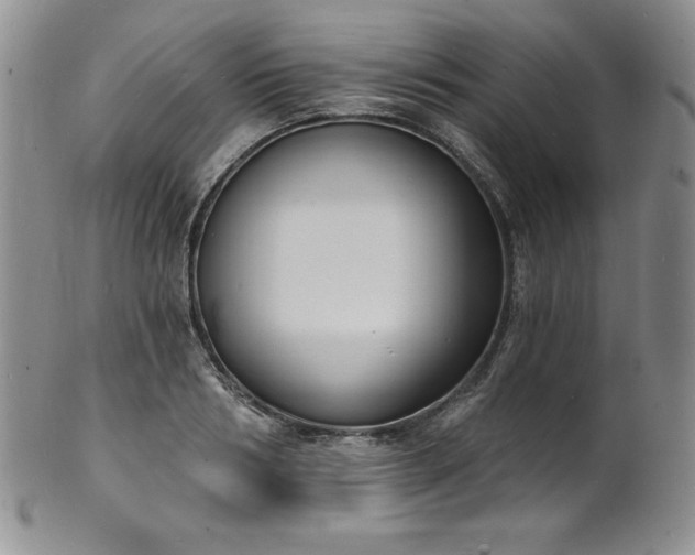 X0000101690986200807171431