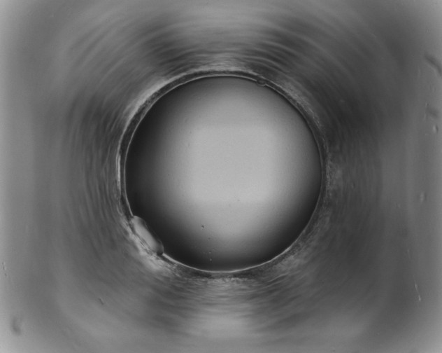 X0000101690988200807171431