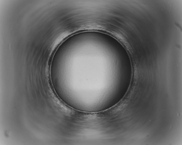 X0000101690990200807171431