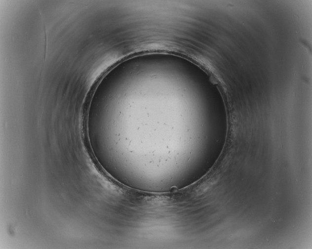 X0000101690991200807171431