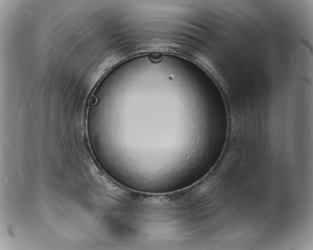 X0000101690994200807171431