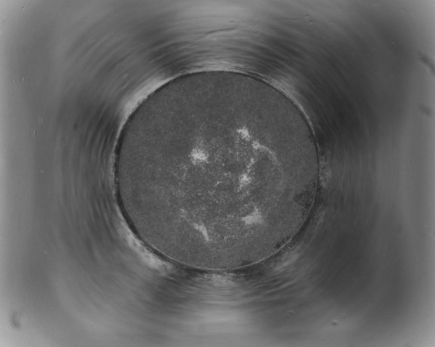 X0000101690995200807171431