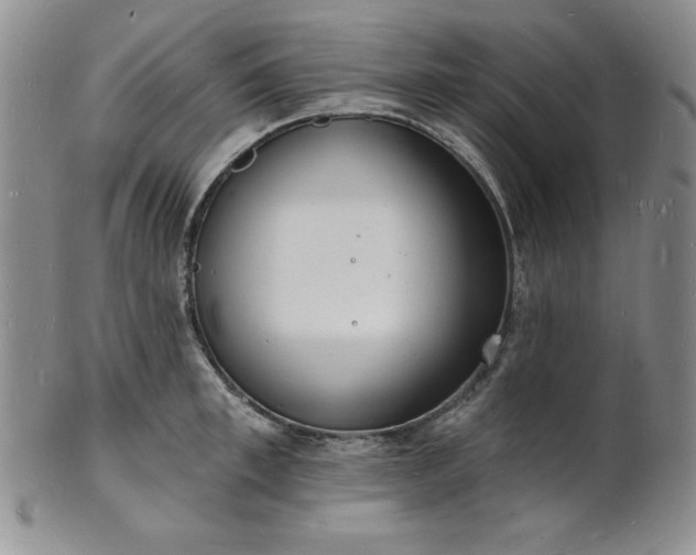 X0000101690997200807171431