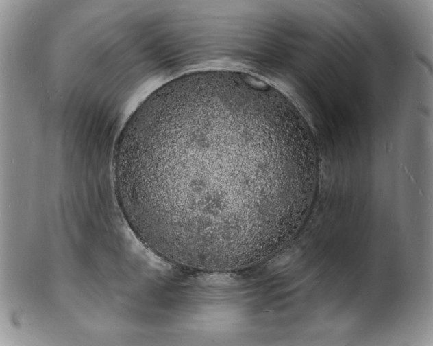 X0000101690998200807171431