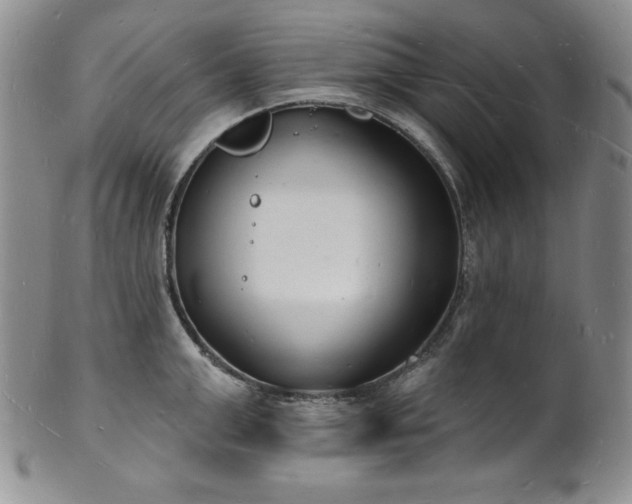 X0000101690999200807171431