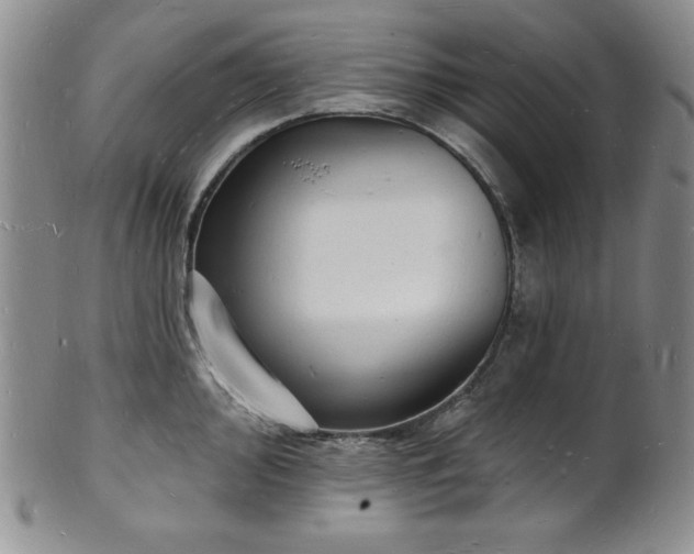 X0000101691000200807171431