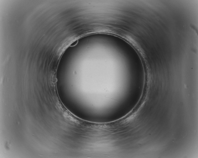 X0000101691001200807171431