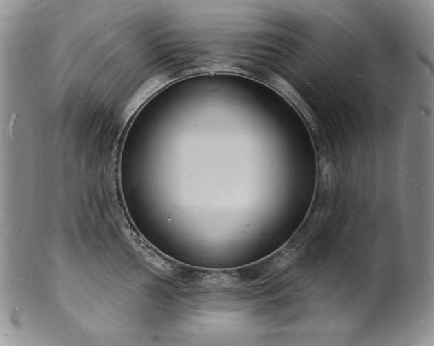 X0000101691002200807171431