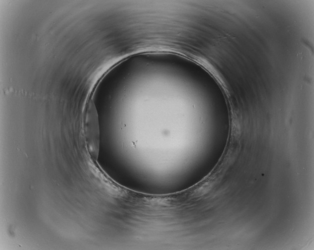 X0000101691004200807171431