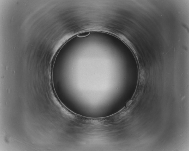 X0000101691005200807171431