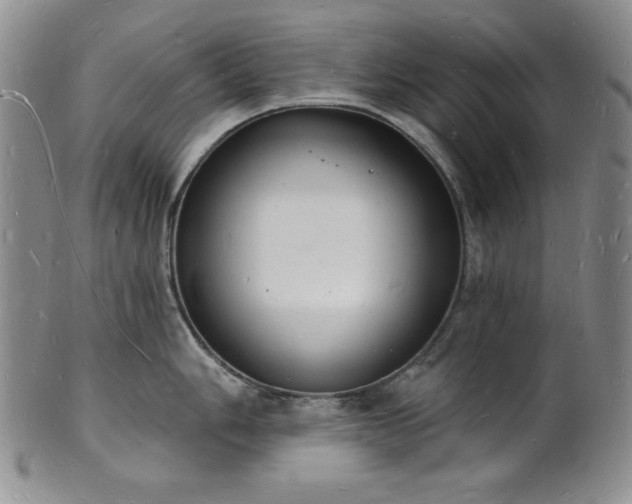 X0000101691006200807171431