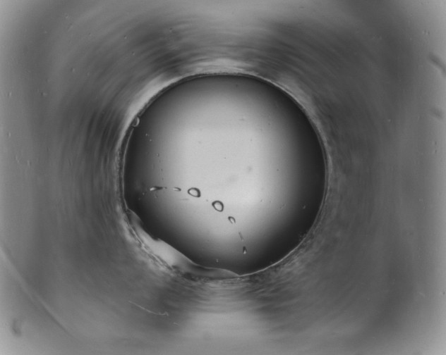 X0000101691008200807171431