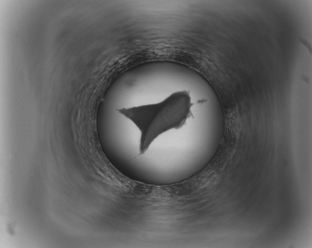 X0000101691009200807171430