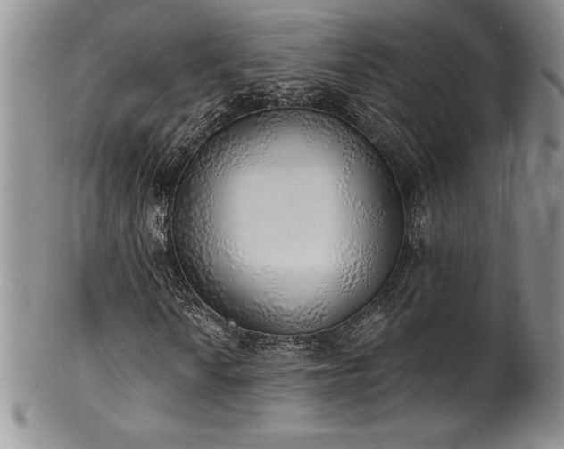 X0000101691010200807171430