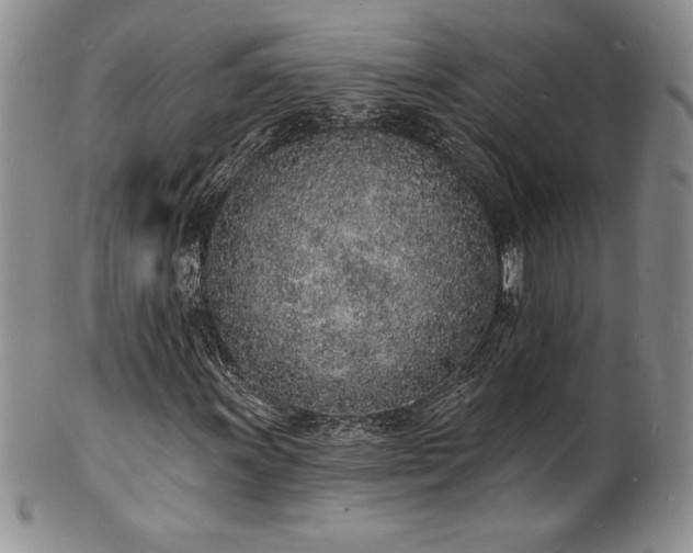 X0000101691011200807171430