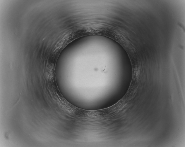 X0000101691012200807171430