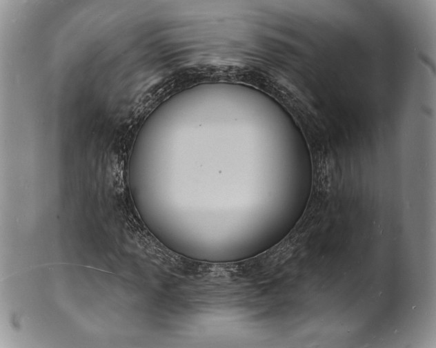 X0000101691013200807171430