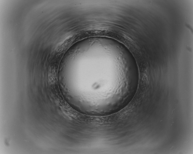 X0000101691014200807171430