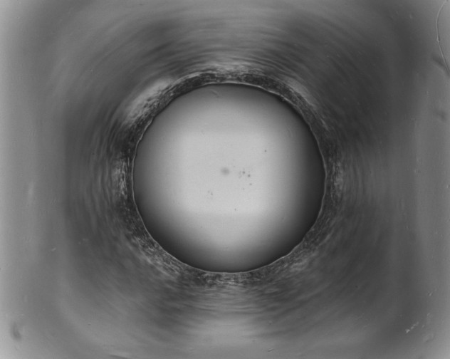 X0000101691016200807171430