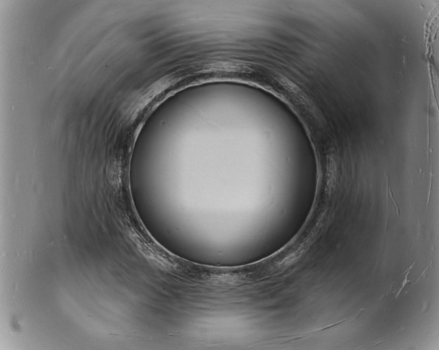 X0000101691017200807171430