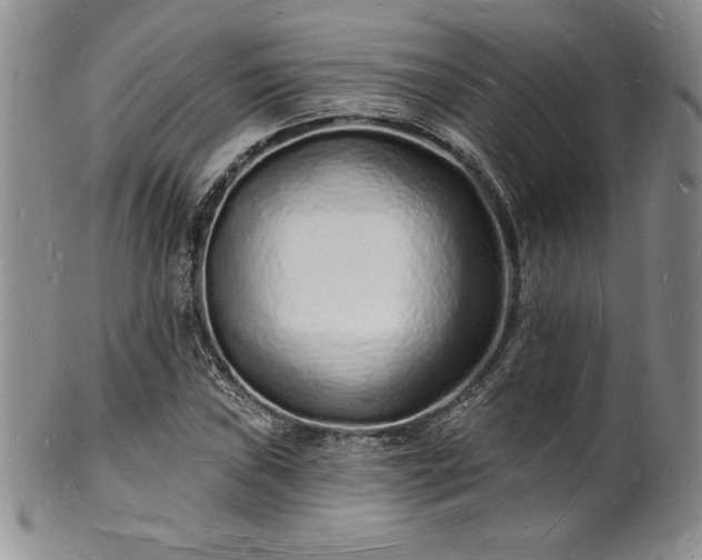 X0000101691019200807171430