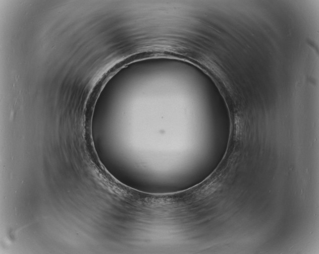 X0000101691020200807171430