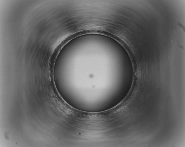 X0000101691022200807171430