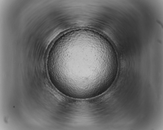 X0000101691023200807171430