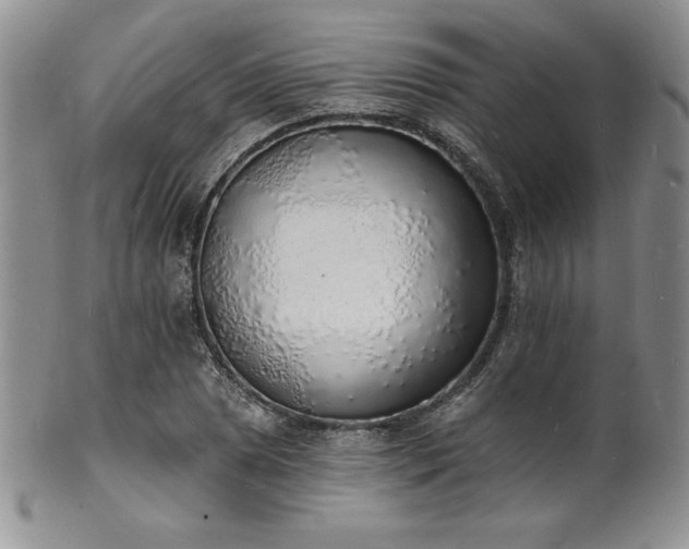 X0000101691025200807171430