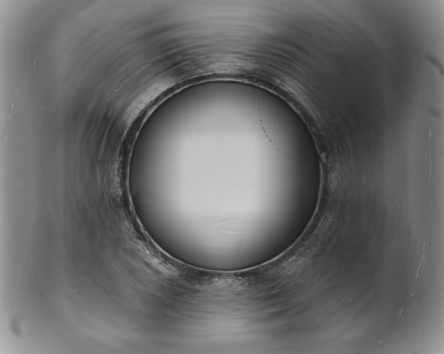 X0000101691026200807171430