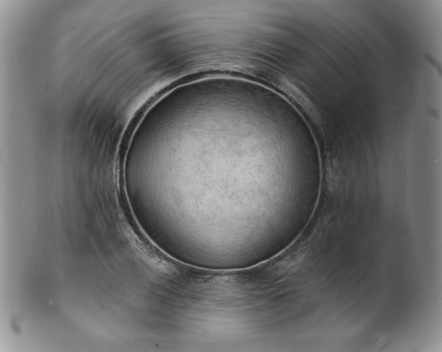 X0000101691028200807171430