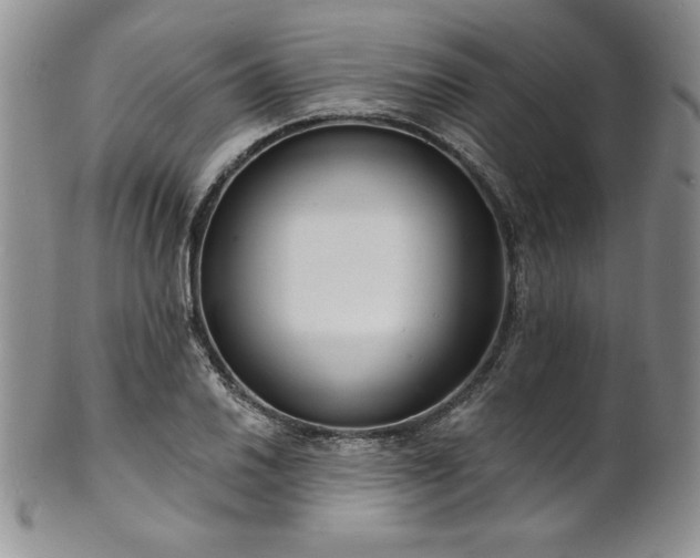 X0000101691030200807171431