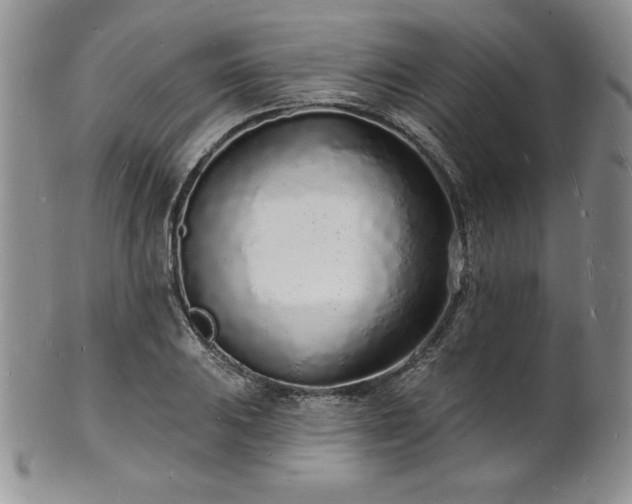 X0000101691031200807171431