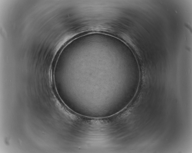 X0000101691032200807171431