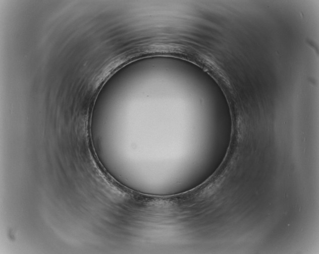 X0000101691033200807171431