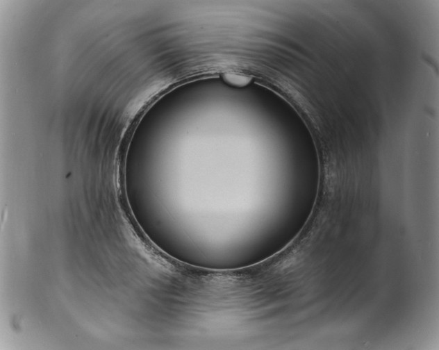 X0000101691034200807171431