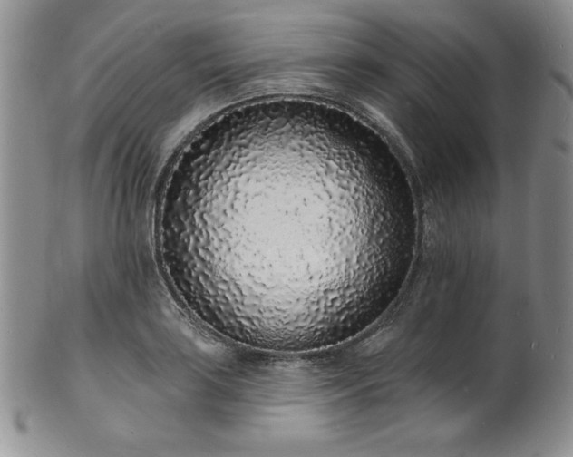 X0000101691035200807171431