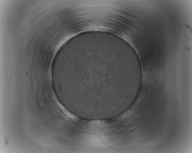 X0000101691037200807171431