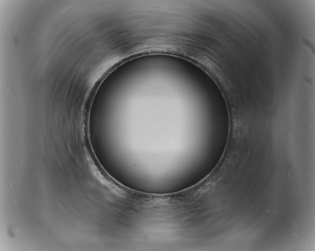 X0000101691038200807171431