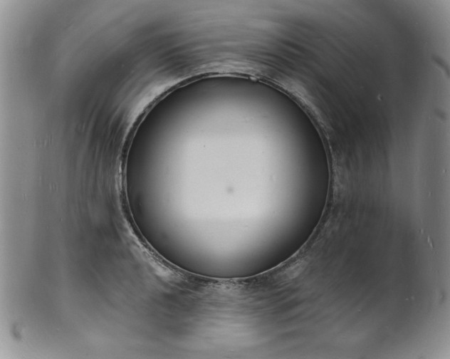 X0000101691040200807171431