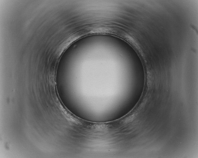 X0000101691041200807171431