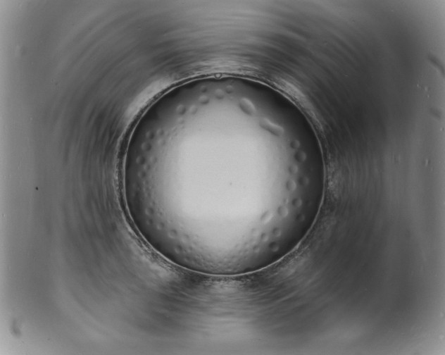 X0000101691043200807171431